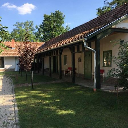 Farm House Domaszék Exteriér fotografie